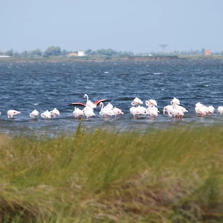 La Roccia Сasa de vacaciones