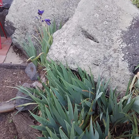 La Roccia * Cuglieri