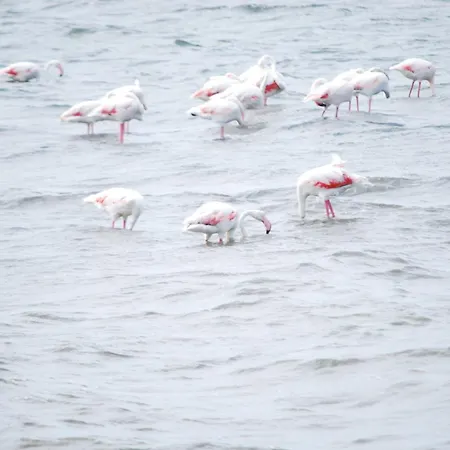 La Roccia * Cuglieri